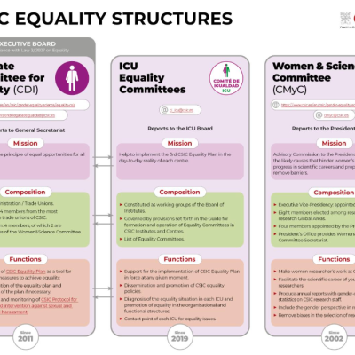 Equality structures at CSIC