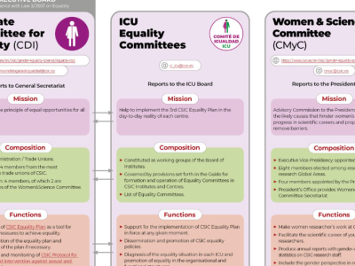 Equality structures at CSIC