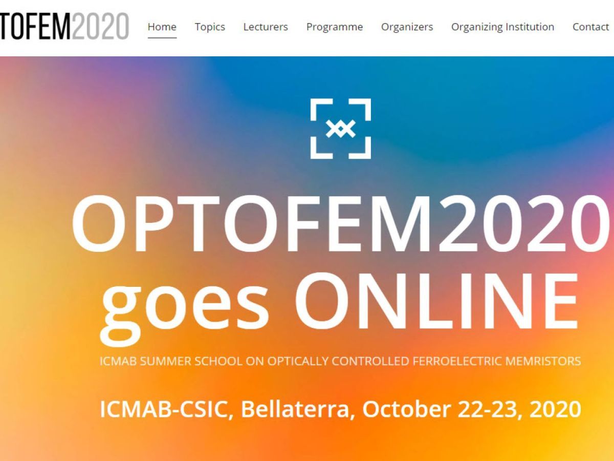 OPTOFEM website example